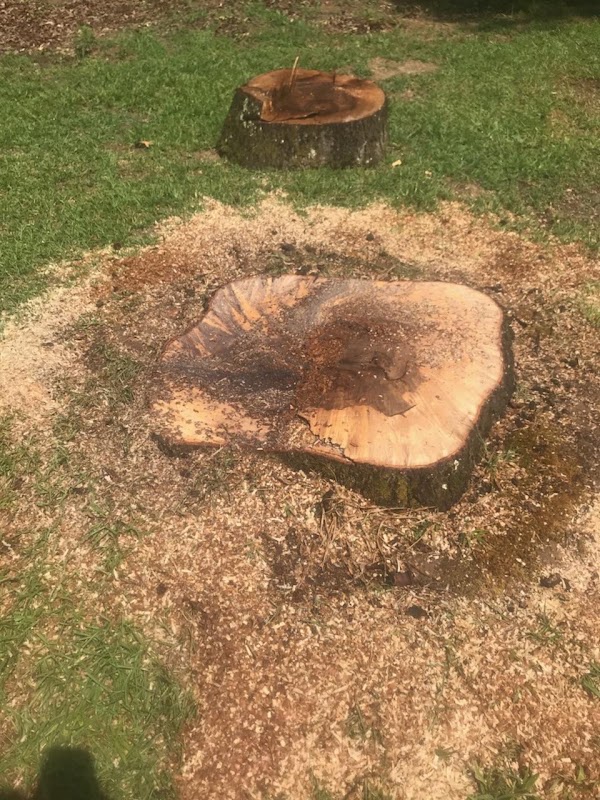 Lawn and Odor photo 1